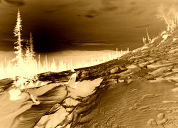 Sepia + Negatyw