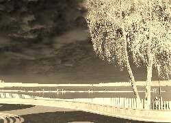 Sepia + Negatyw