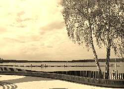 Szary + Sepia