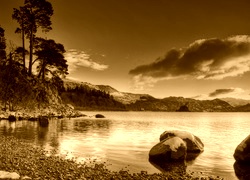 Sepia