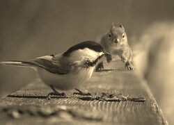 Szary + Sepia