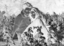Szary + Negatyw