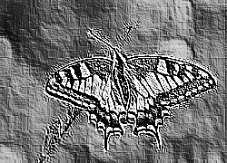 Skamielina