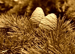 Sepia