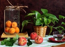 Oryginalny obrazek
