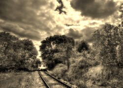 Szary + Sepia