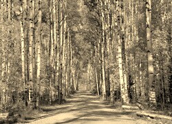 Sepia