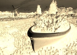 Sepia + Negatyw
