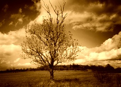 Sepia