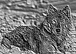Skamielina
