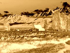 Sepia + Negatyw