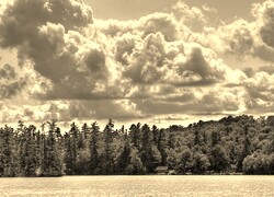 Szary + Sepia