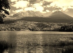 Szary + Sepia