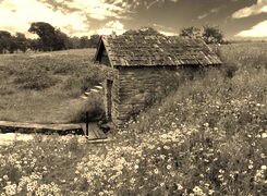 Szary + Sepia