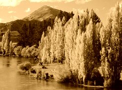 Sepia