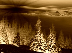 Sepia + Negatyw