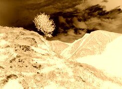 Sepia + Negatyw