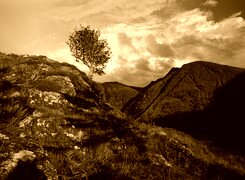 Sepia