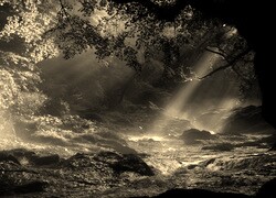 Szary + Sepia