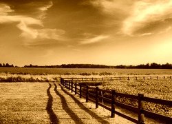 Sepia