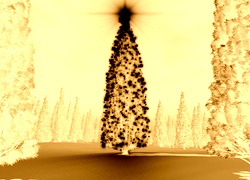 Sepia + Negatyw