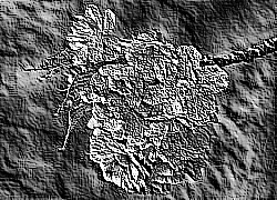 Skamielina