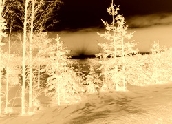 Sepia + Negatyw