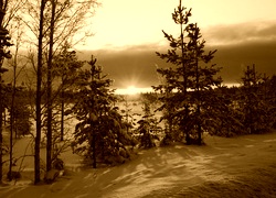 Sepia