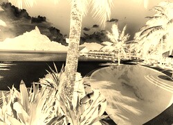 Sepia + Negatyw