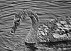 Skamielina