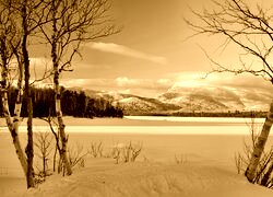 Sepia
