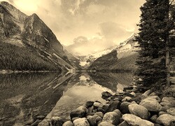 Szary + Sepia