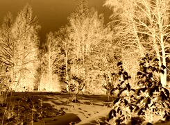 Sepia + Negatyw