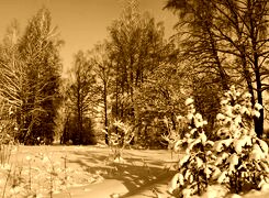 Sepia
