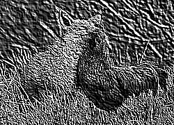 Skamielina