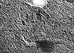 Skamielina