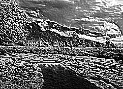 Skamielina