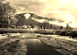 Szary + Sepia
