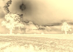 Sepia + Negatyw