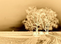 Sepia + Negatyw