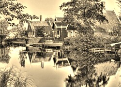 Szary + Sepia