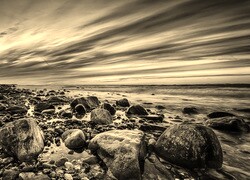 Szary + Sepia
