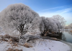 Oryginalny obrazek