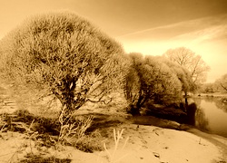 Sepia