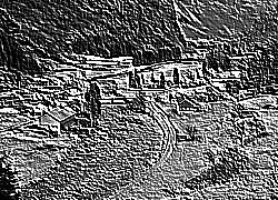 Skamielina