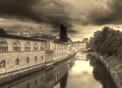 Szary + Sepia