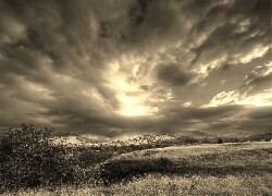 Sepia