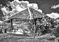 Szary + Sepia