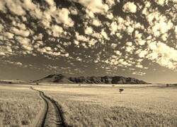 Szary + Sepia