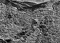 Skamielina